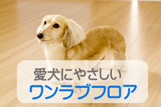 ワンラブフロア